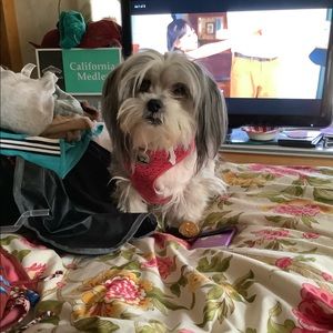 Meet your Posher, Faith